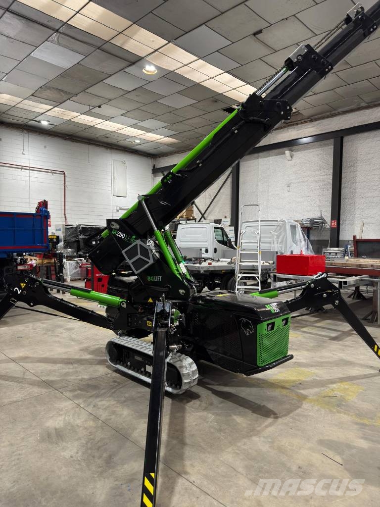 BG Lift M 250 Li-Ion Grúas de oruga
