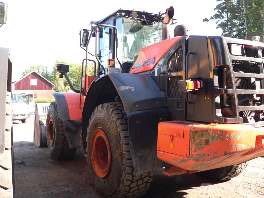 Hitachi ZW 250-5B Rataslaadurid