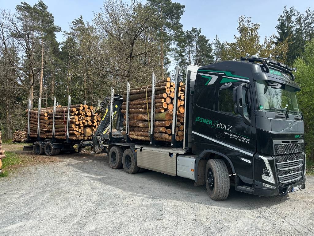 Volvo FH 540 Timber trucks