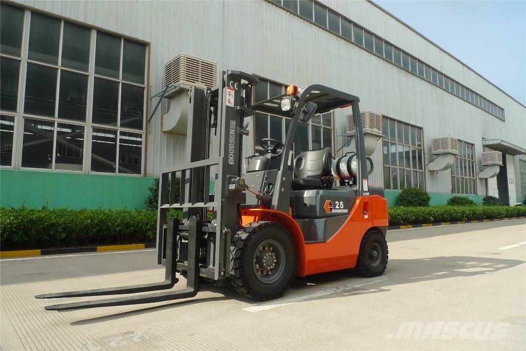 Goodsense FY25 Gasoline& LPG  dual fuel forklift شاحنة مناولة