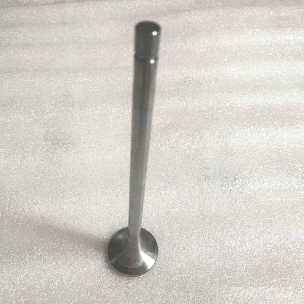 Cummins M11 Intake Valve 4955239 3800636 3804533 3417779 3 Motorer