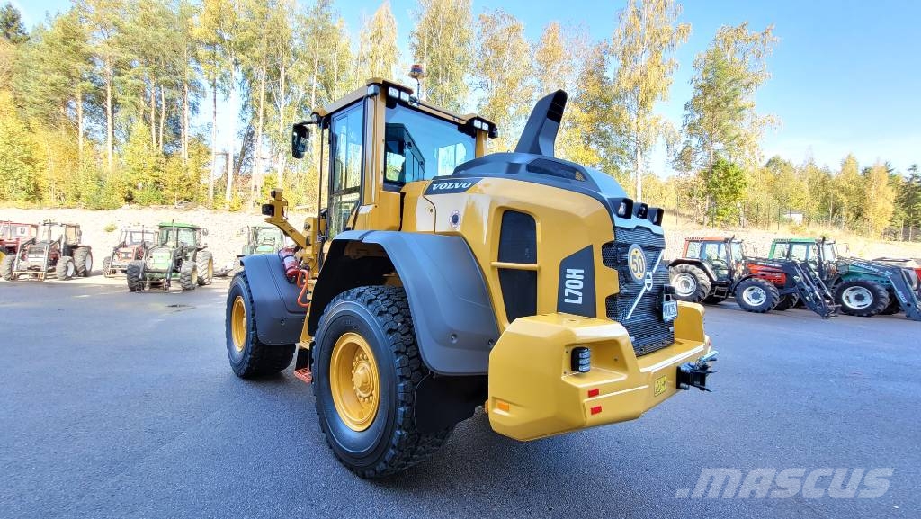 Volvo L 70 H Pale gommate
