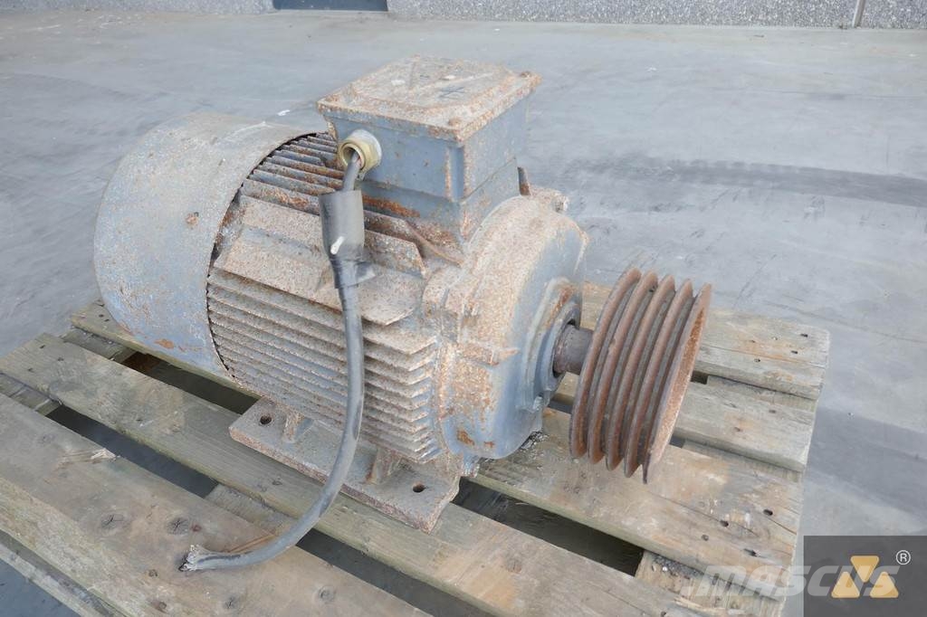  Teco 18.5KW Kargo motori