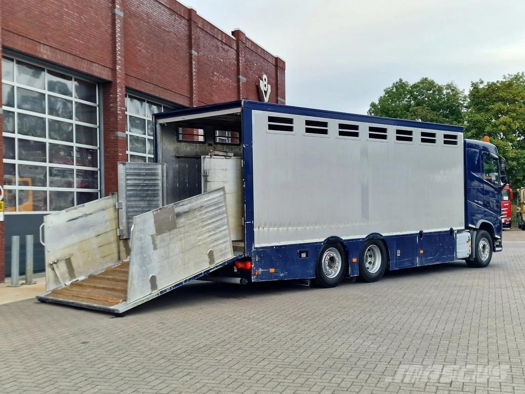 Volvo FH 13.420 6x2 - 1 deck livestock - Manual gearbox Tovornjaki za prevoz živine