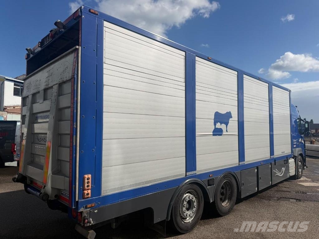 Volvo FM 500 6X2 EURO 6 + MENKE Kamioni za prevoz životinja