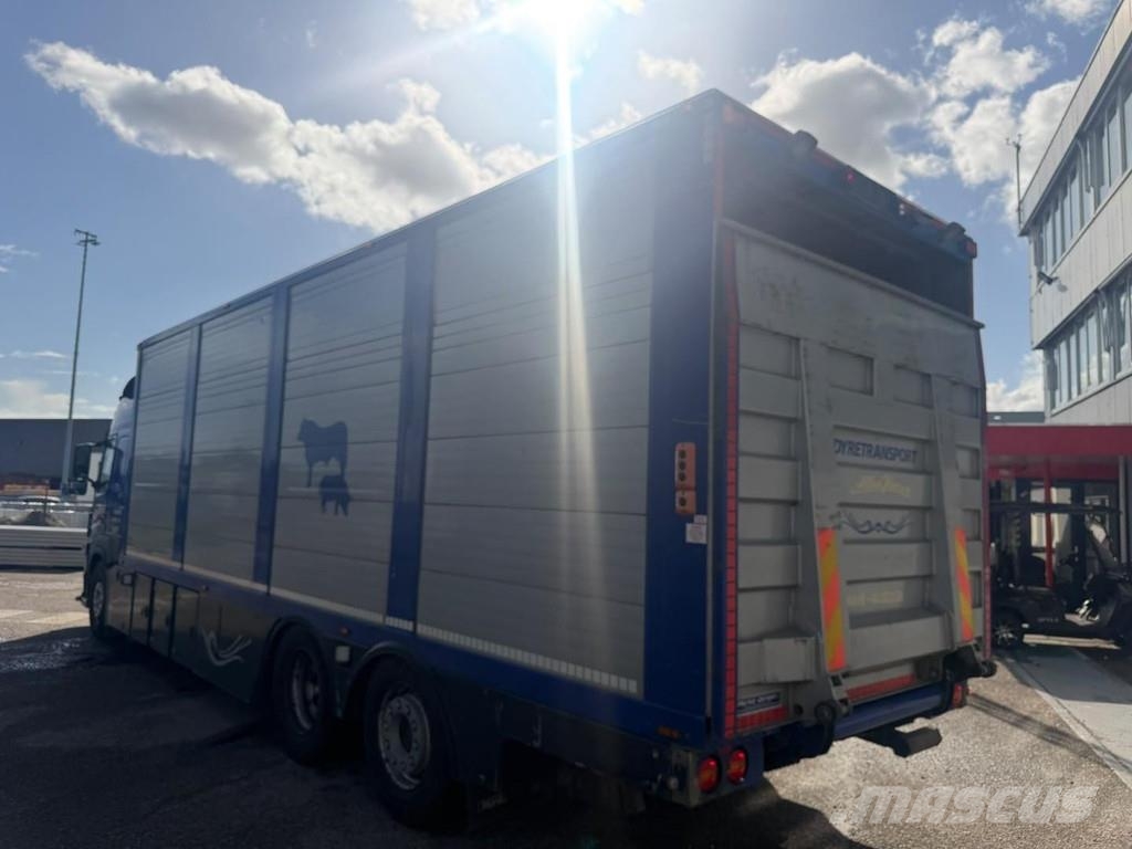 Volvo FM 500 6X2 EURO 6 + MENKE Kamioni za prevoz životinja