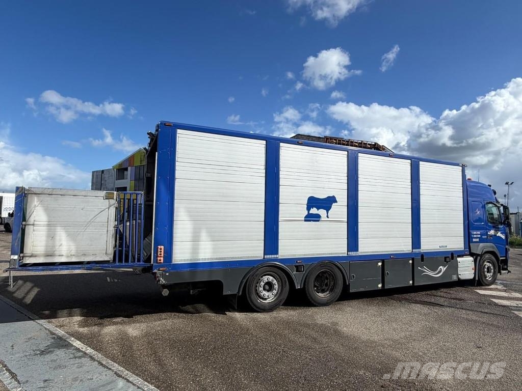 Volvo FM 500 6X2 EURO 6 + MENKE Kamioni za prevoz životinja