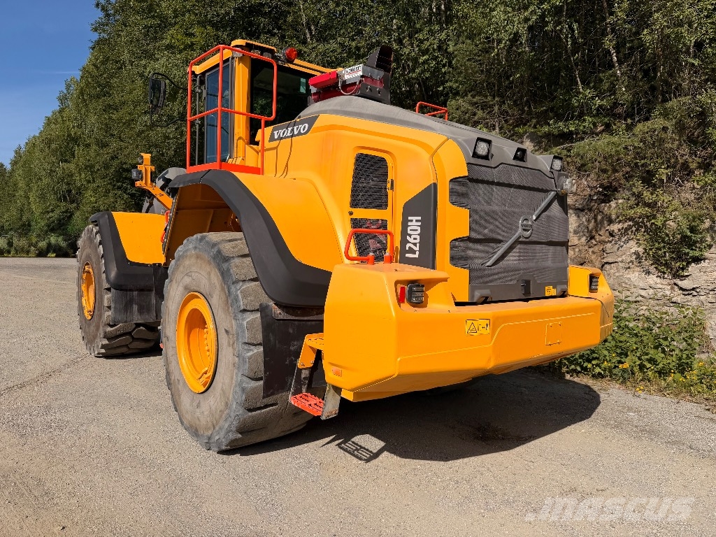 Volvo L 260 H Pale gommate
