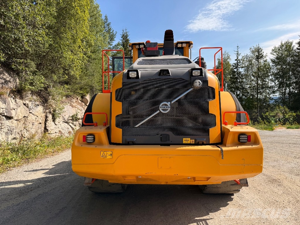 Volvo L 260 H Pale gommate