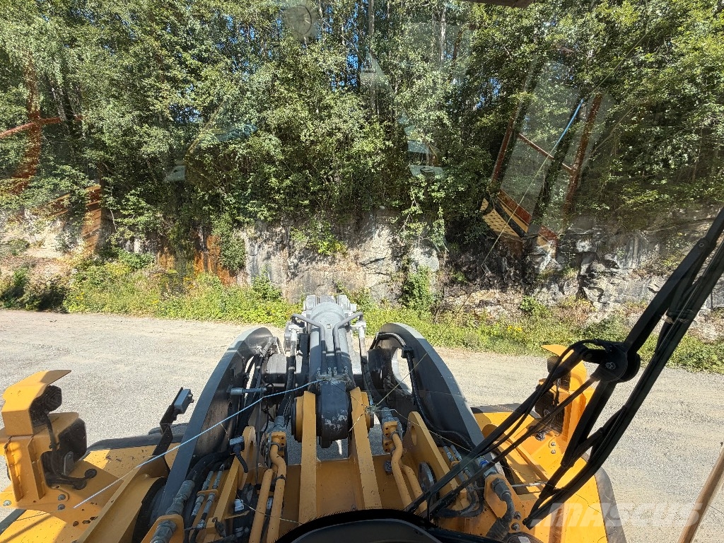 Volvo L 260 H Pale gommate