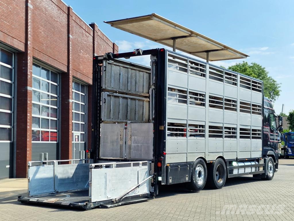 Berdex FH 460 Berdex 3 deck livestock - Loadlift - Eläinkuljetusautot