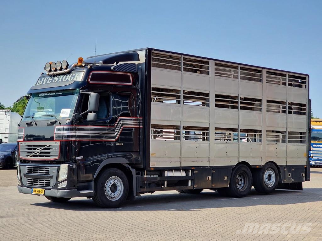 Volvo FH 460 Berdex 3 deck livestock - Loadlift - Liftin Tiertransporter
