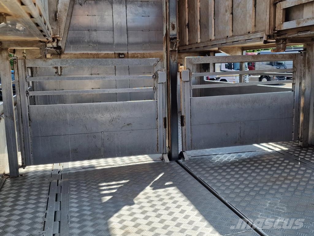 Volvo FH 460 Berdex 3 deck livestock - Loadlift - Liftin Tiertransporter