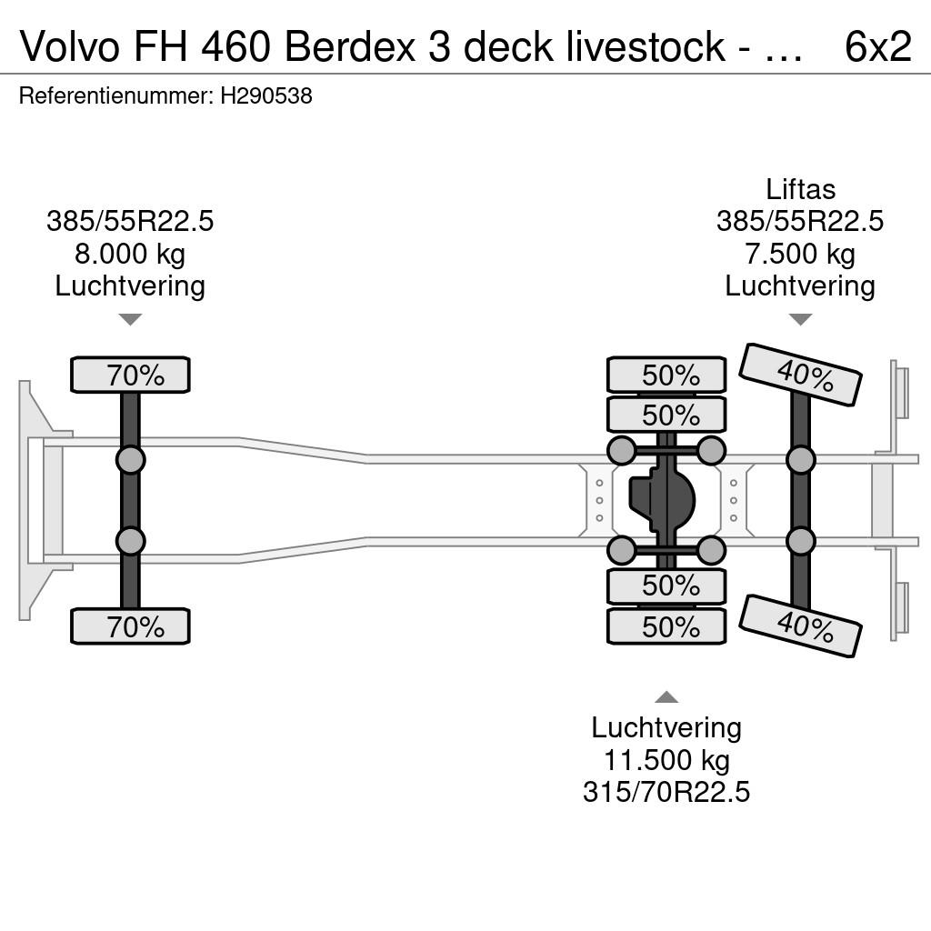 Volvo FH 460 Berdex 3 deck livestock - Loadlift - Liftin Tiertransporter