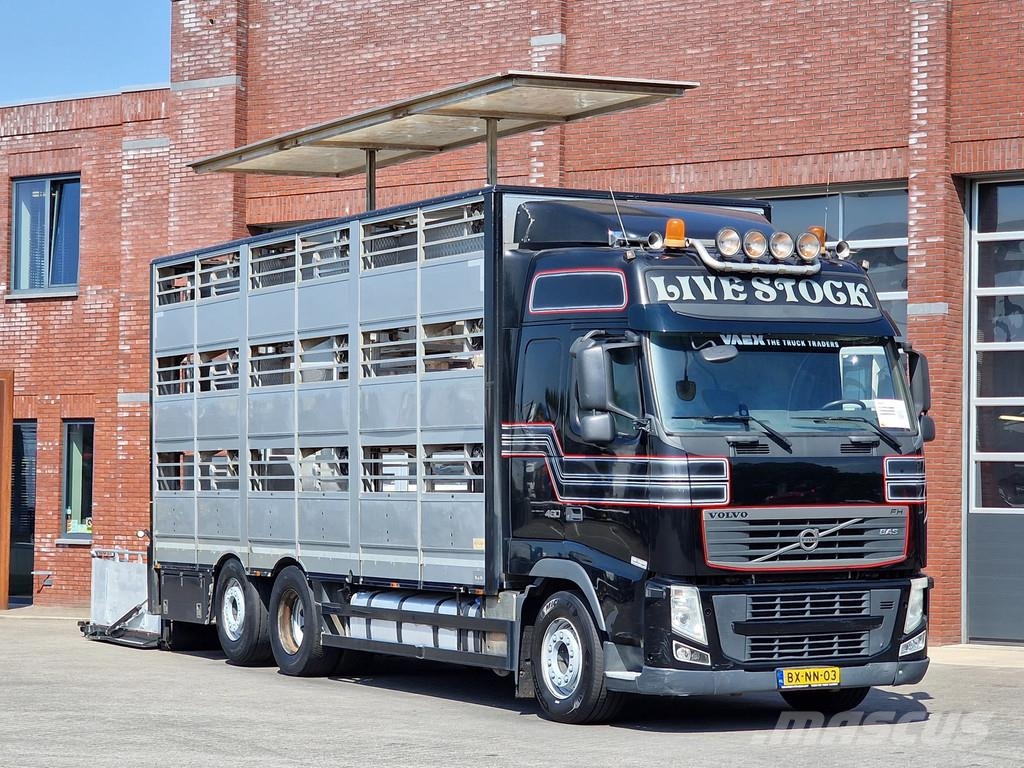 Volvo FH 460 Berdex 3 deck livestock - Loadlift - Liftin Tiertransporter