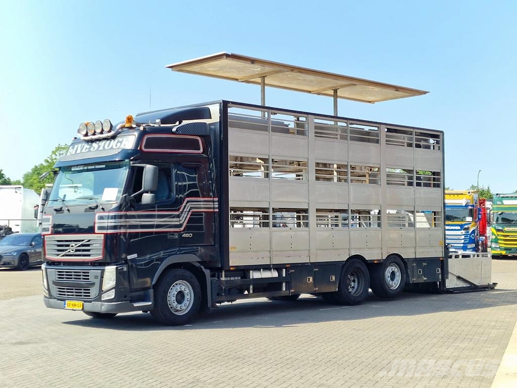 Volvo FH 460 Berdex 3 deck livestock - Loadlift - Liftin Tiertransporter