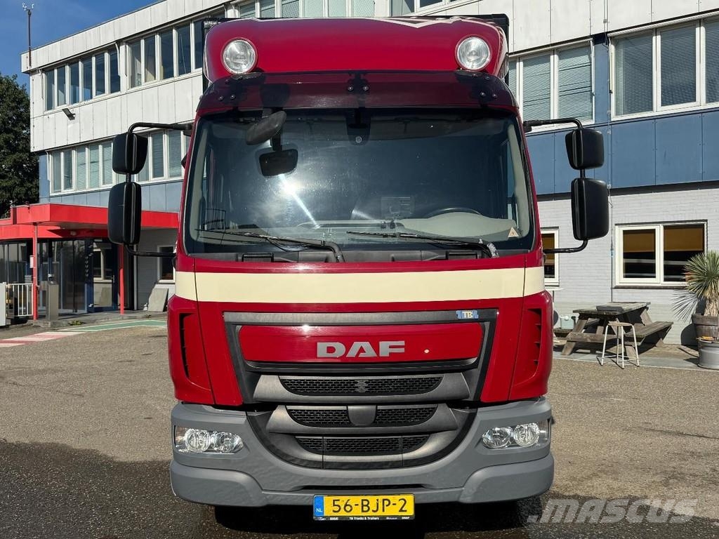 DAF LF 230 4X2 EURO 6 + DHOLLANDIA LIFT 1500KG 厢式货车