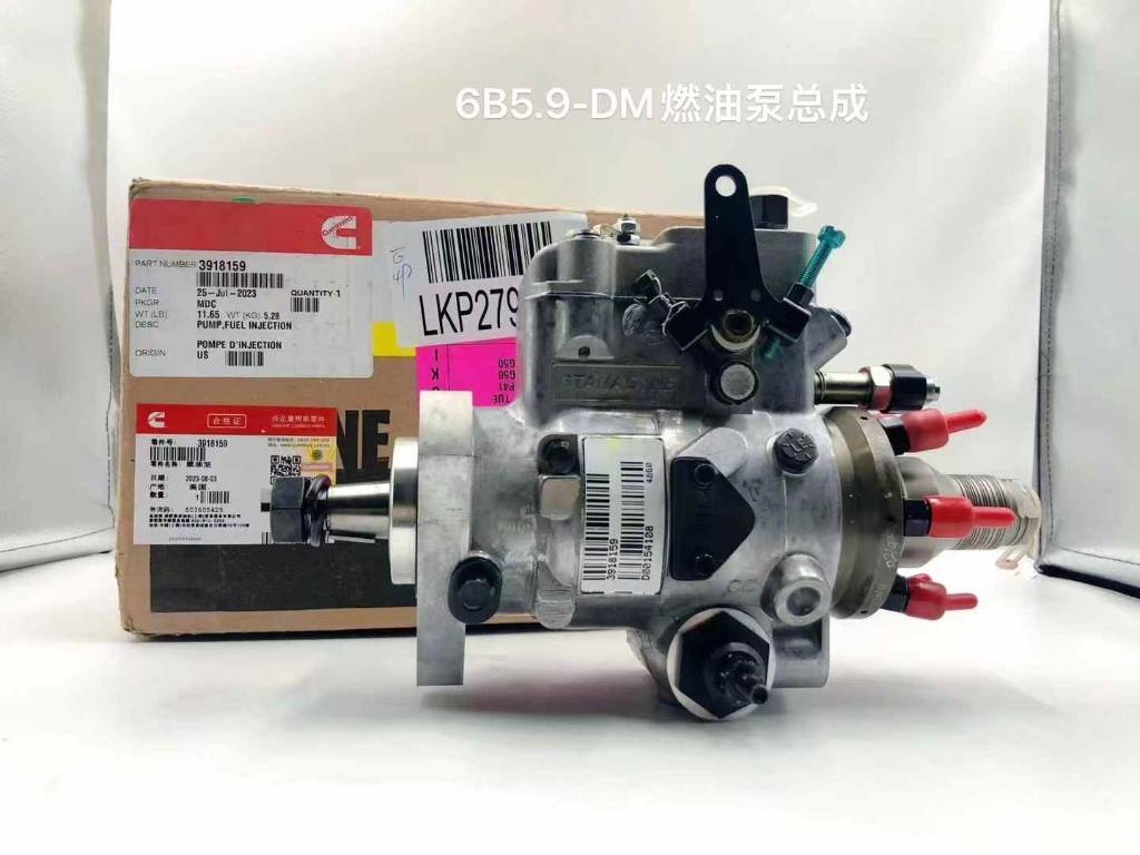 Cummins Cummins QSB5.9 fuel pump Gieken en dippers