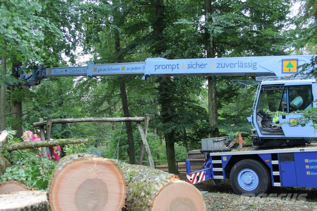 Jucker Fällkran LA245M Forestal - Otros