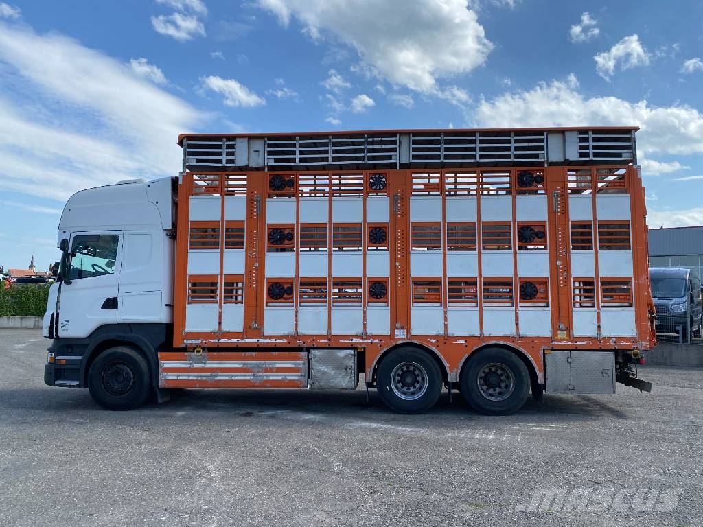 Scania R480LB 6x2MNA / PEZZAIOLI endommagé Tiertransporter