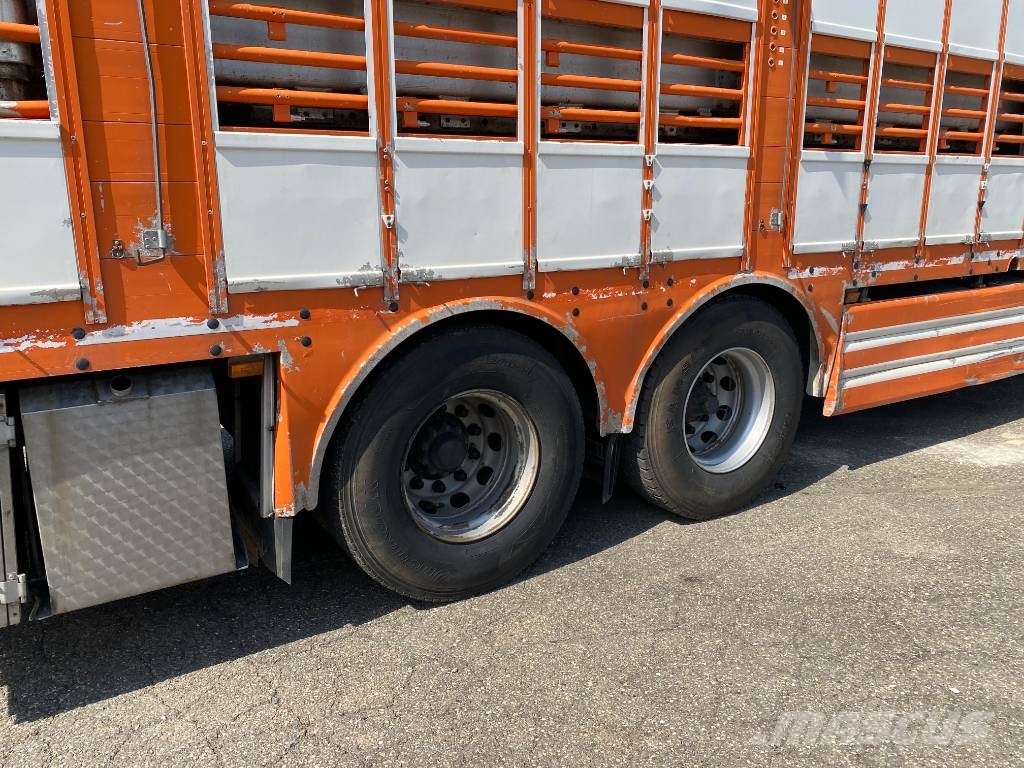 Scania R480LB 6x2MNA / PEZZAIOLI endommagé Tiertransporter