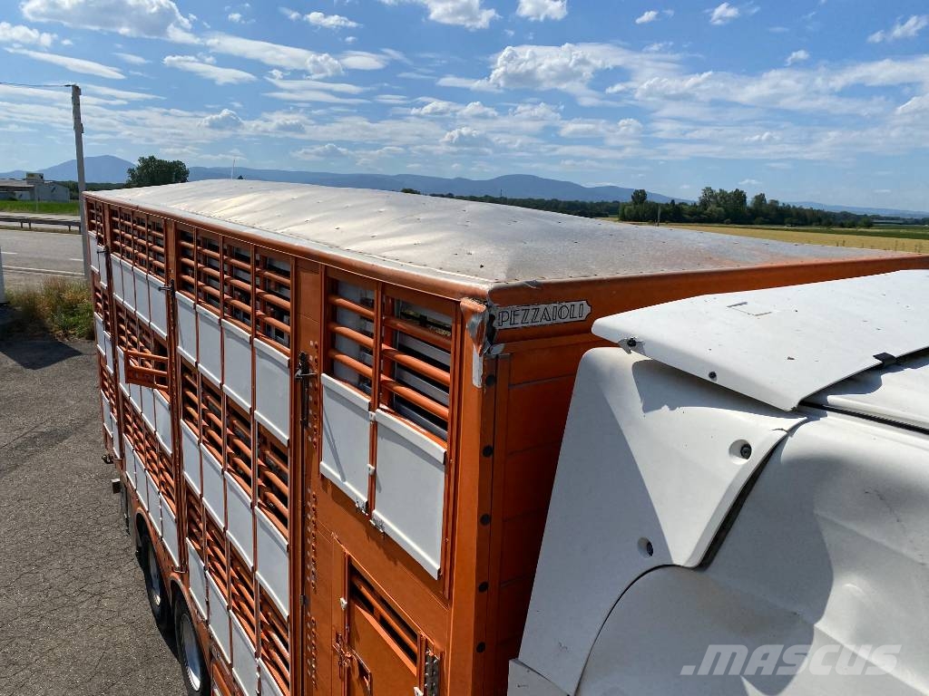 Scania R480LB 6x2MNA / PEZZAIOLI endommagé Tiertransporter