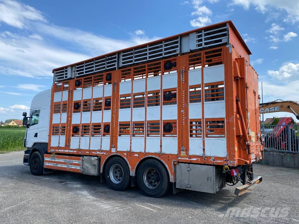 Scania R480LB 6x2MNA / PEZZAIOLI endommagé Tiertransporter