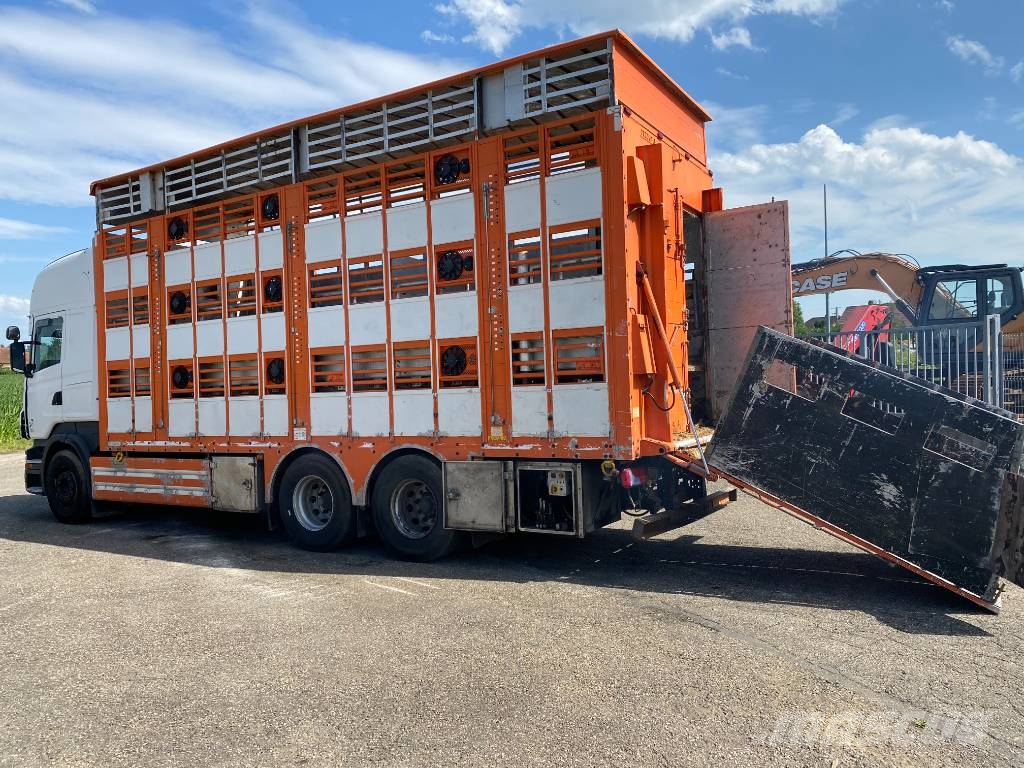 Scania R480LB 6x2MNA / PEZZAIOLI endommagé Tiertransporter