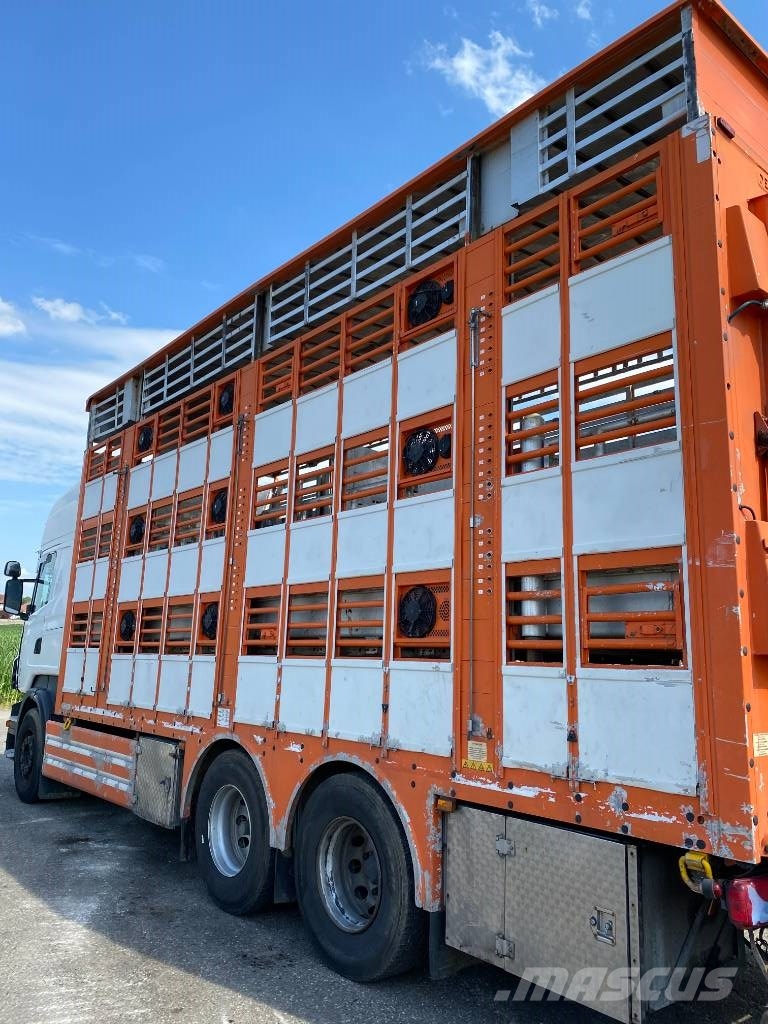 Scania R480LB 6x2MNA / PEZZAIOLI endommagé Tiertransporter