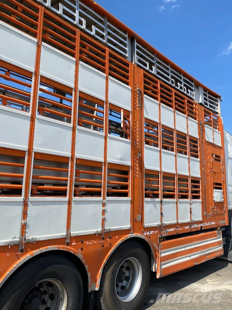 Scania R480LB 6x2MNA / PEZZAIOLI endommagé Tiertransporter