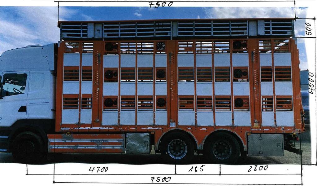 Scania R480LB 6x2MNA / PEZZAIOLI endommagé Tiertransporter