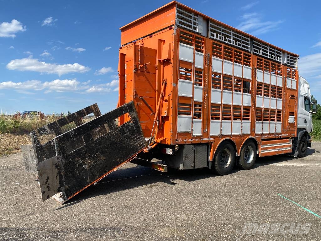 Scania R480LB 6x2MNA / PEZZAIOLI endommagé Tiertransporter