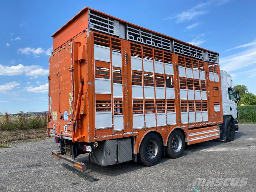 Scania R480LB 6x2MNA / PEZZAIOLI endommagé Tiertransporter