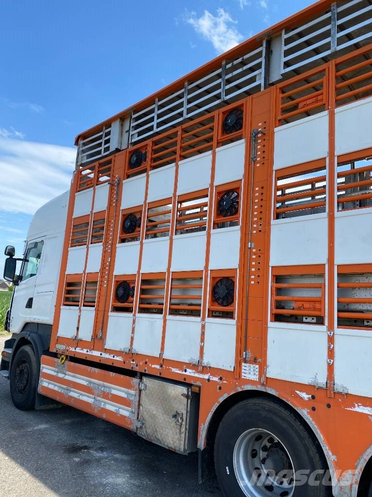 Scania R480LB 6x2MNA / PEZZAIOLI endommagé Tiertransporter