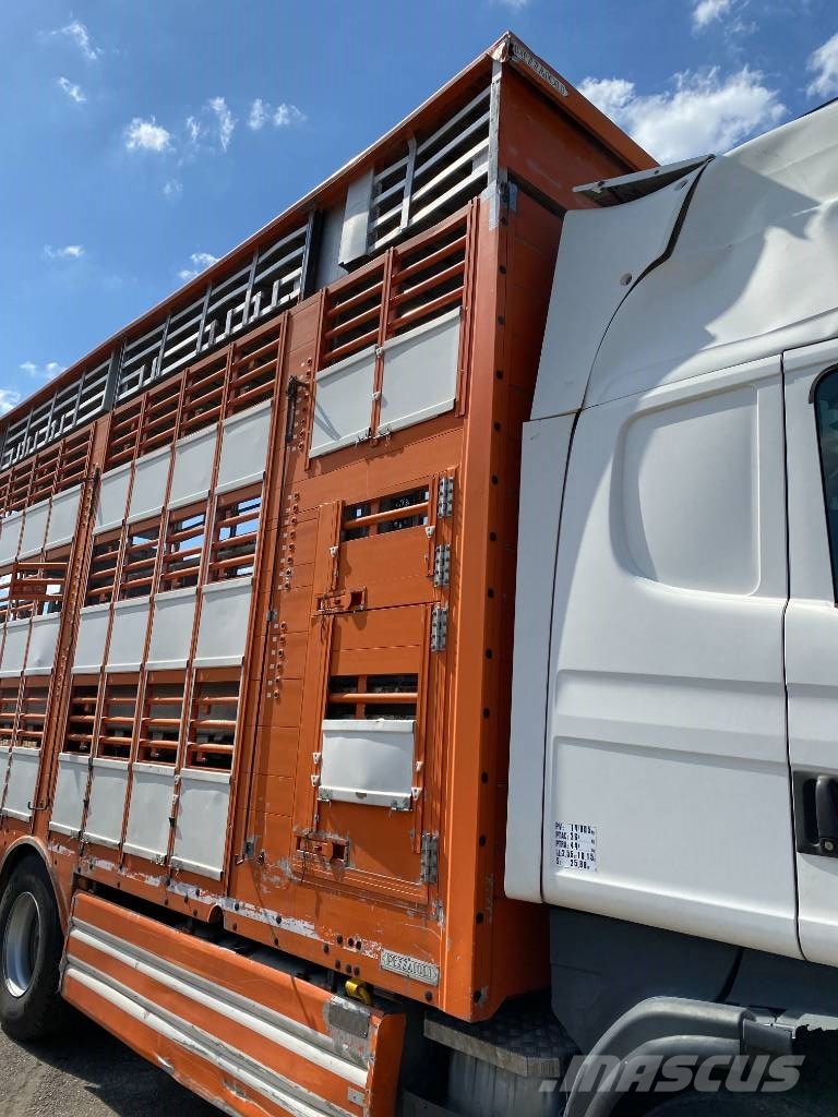 Scania R480LB 6x2MNA / PEZZAIOLI endommagé Tiertransporter
