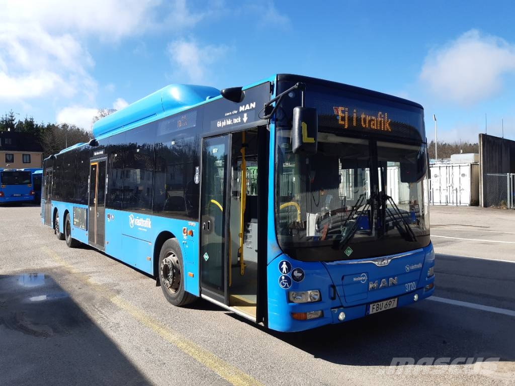 MAN A26 CNG Lions City (  3709-3729) 21 buses Autobús urbano
