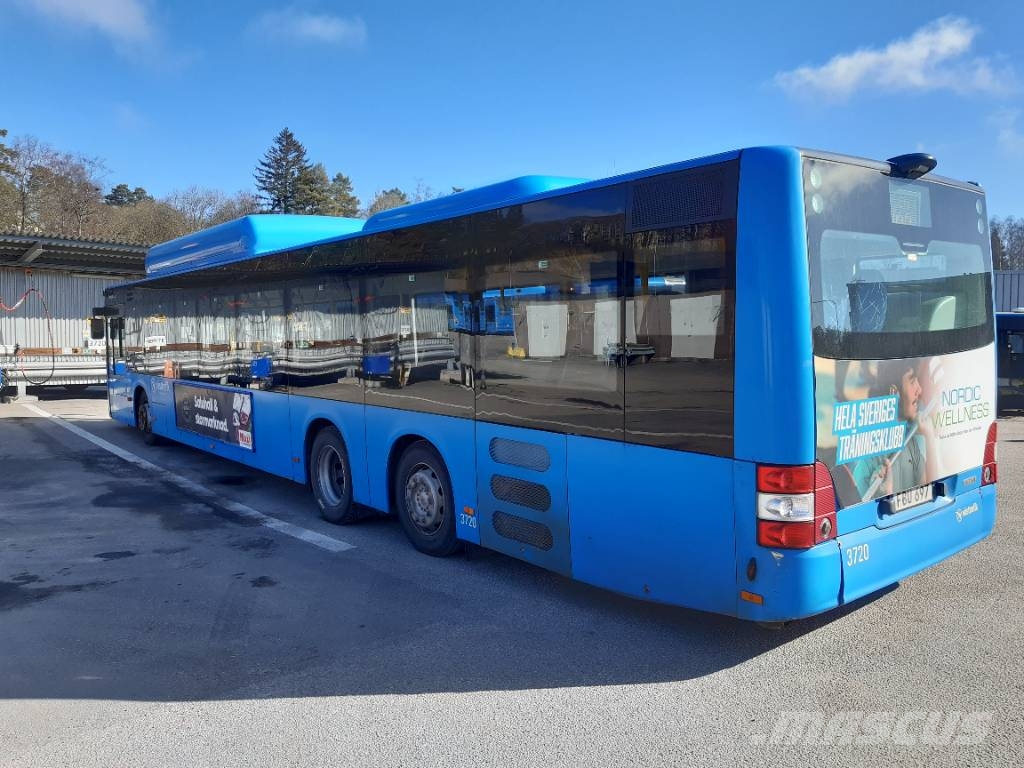 MAN A26 CNG Lions City (  3709-3729) 21 buses Autobús urbano