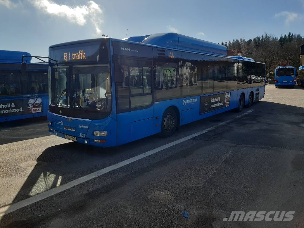 MAN A26 CNG Lions City (  3709-3729) 21 buses Autobús urbano