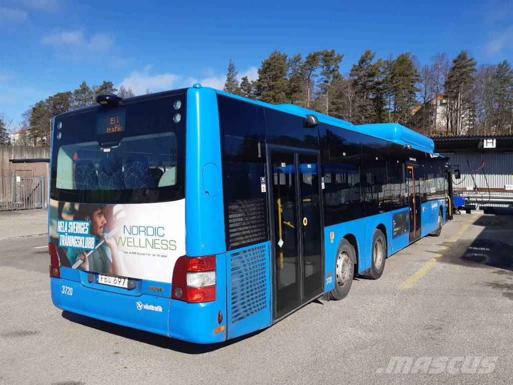 MAN A26 CNG Lions City (  3709-3729) 21 buses Autobús urbano