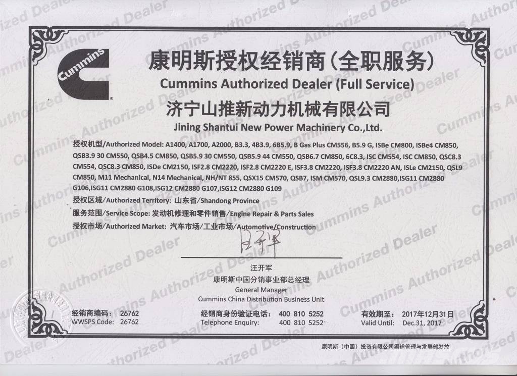 Cummins PISTON 304808-20 Moteur