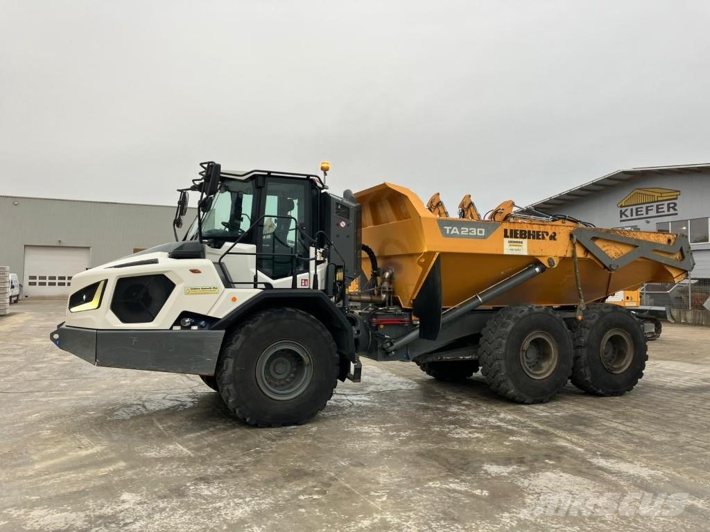 Liebherr TA 230 Litronic Zglobni demperji