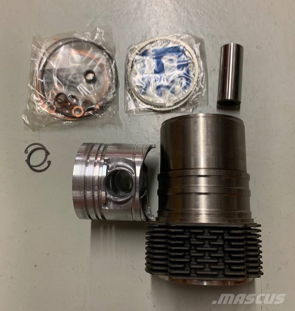 Same ARGON Piston Cylinder Assembly 0.379.0065.A Engines