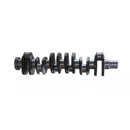 Doosan /Develon 150107-00367 65.021010064 DL08 Crankshaft Ejes