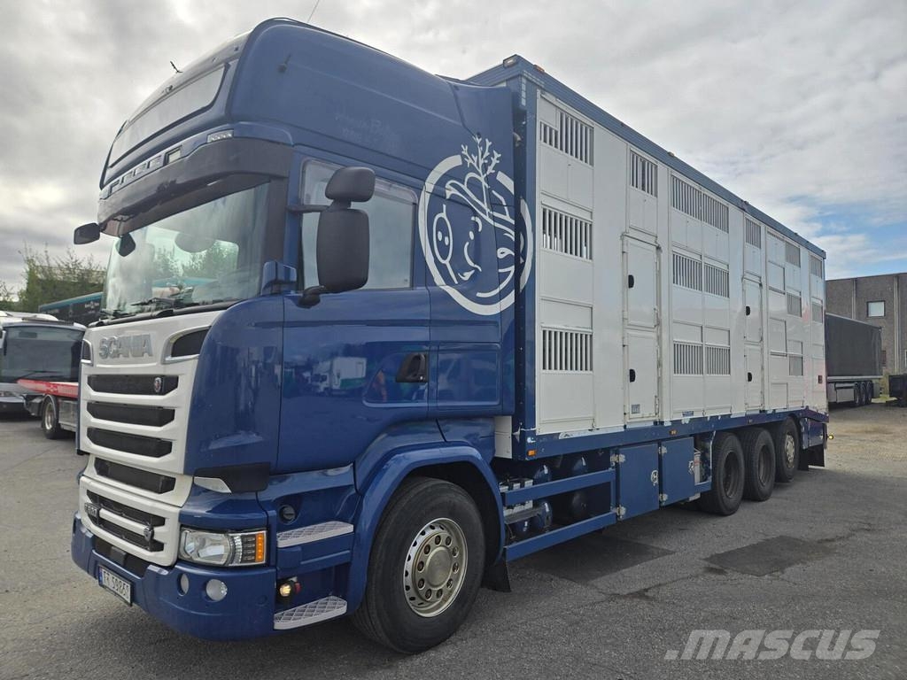 Scania R520 8X4 3 FLOOR شاحنات نقل الحيوانات