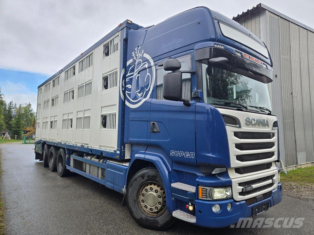 Scania R520 8X4 3 FLOOR Kamioni za prevoz životinja