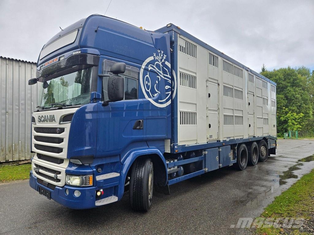 Scania R520 8X4 3 FLOOR Kamioni za prevoz životinja