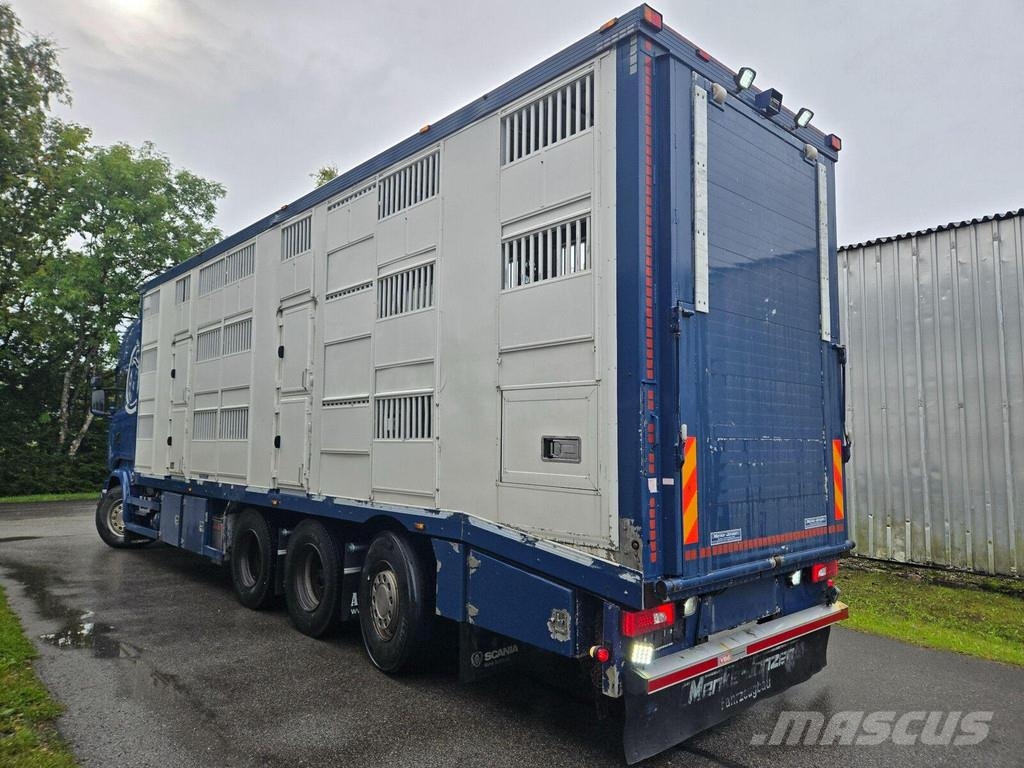 Scania R520 8X4 3 FLOOR Kamioni za prevoz životinja