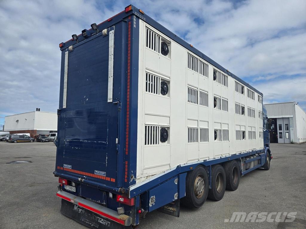 Scania R520 8X4 3 FLOOR شاحنات نقل الحيوانات