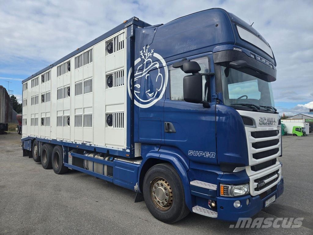 Scania R520 8X4 3 FLOOR شاحنات نقل الحيوانات
