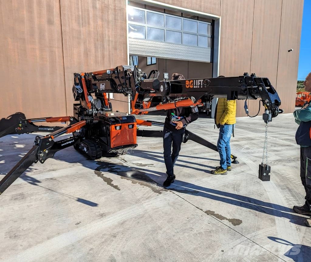 BG Lift M250 Paletli vinçler